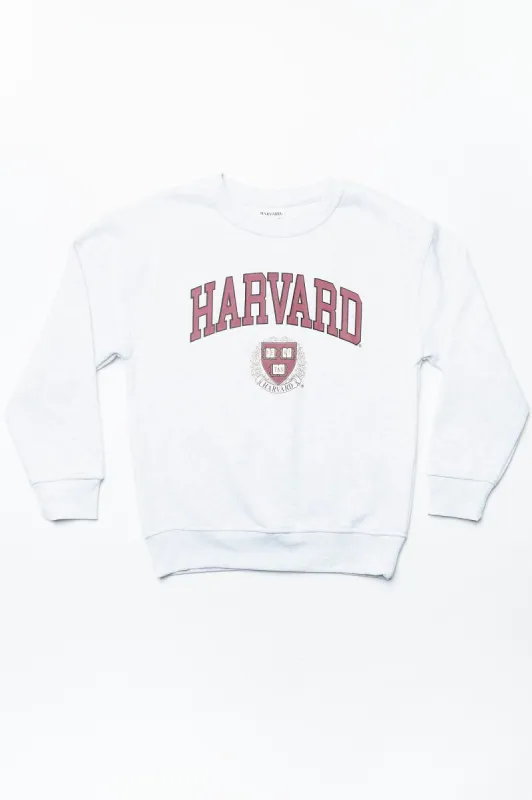AERO Boys Harvard Graphic Crew Neck Pullover Sweatshirt sold by Bluenotes