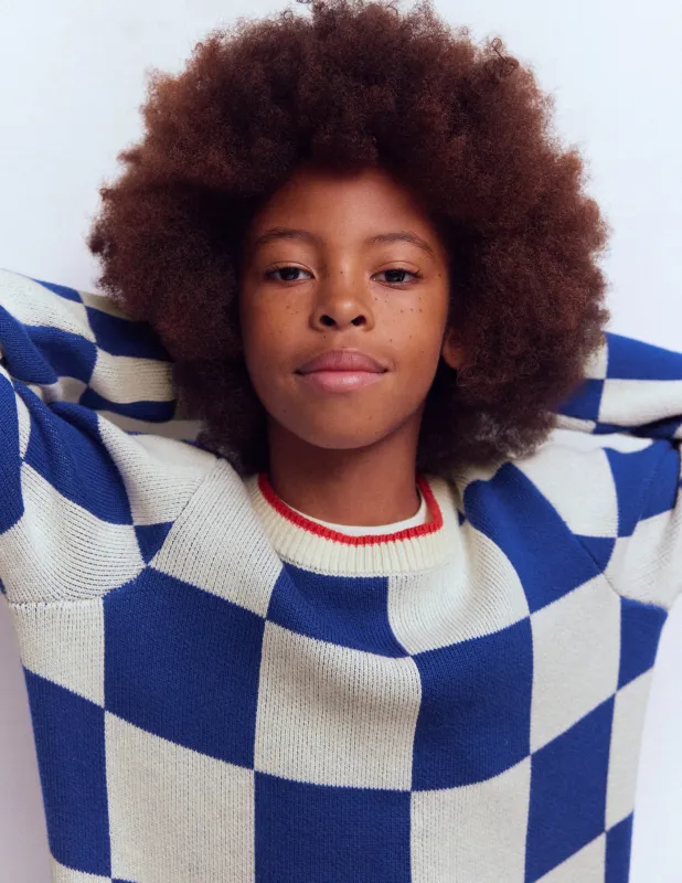 Pullover mit Grafik-Surf The Web-Blau Schachbrettmuster sold by Boden