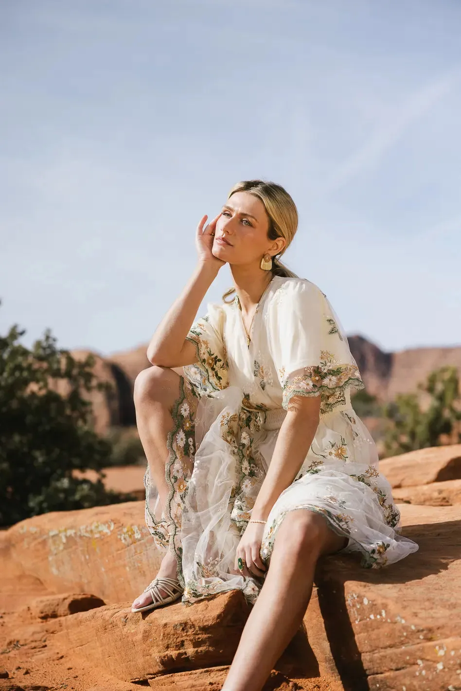 Kelsey Embroidered Mesh Dress - FINAL SALE sold by bohme product image thumbnail 5