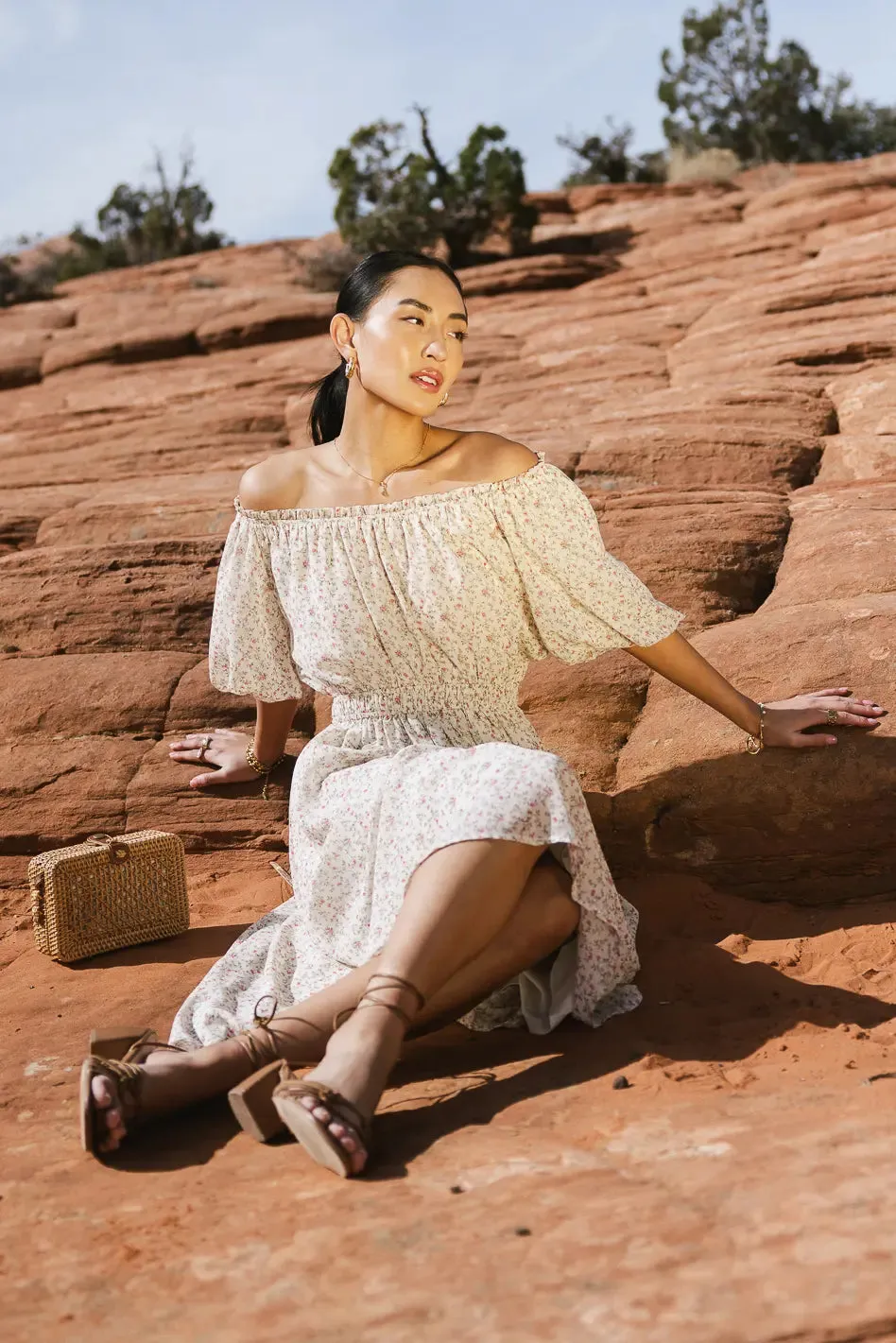 Noa Ditsy Floral Dress - FINAL SALE sold by bohme product image thumbnail 4