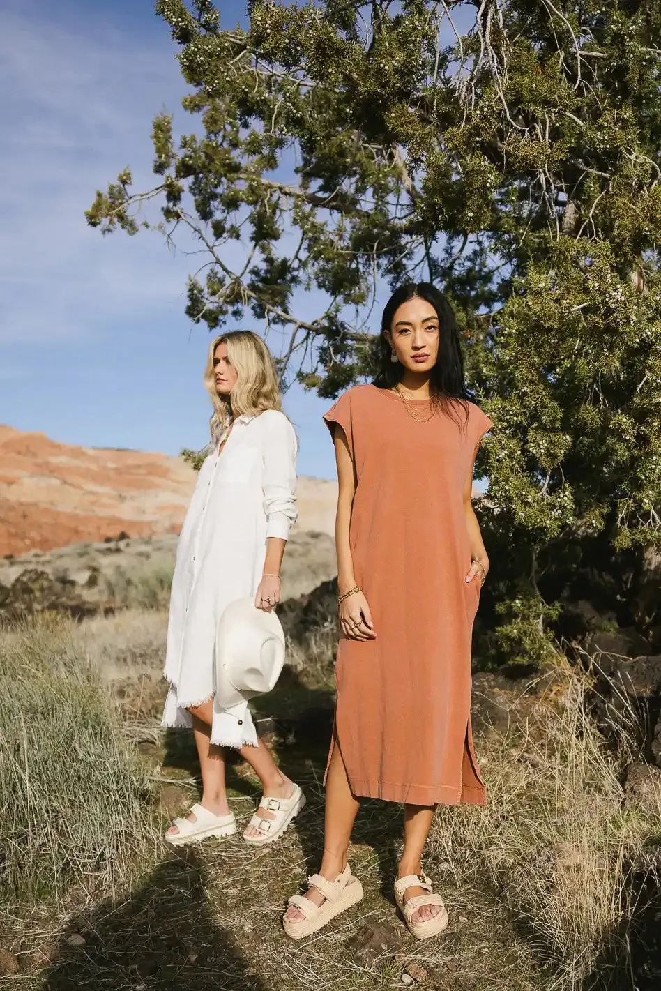 Shelese T-Shirt Dress in Clay - FINAL SALE sold by bohme product image thumbnail 2