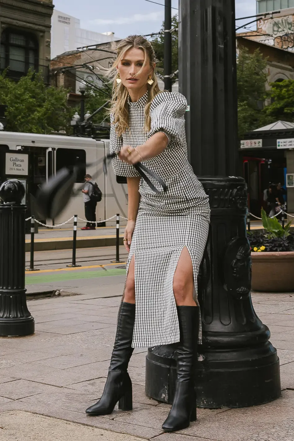 Alex Gingham Dress in Black - FINAL SALE sold by bohme product image thumbnail 5