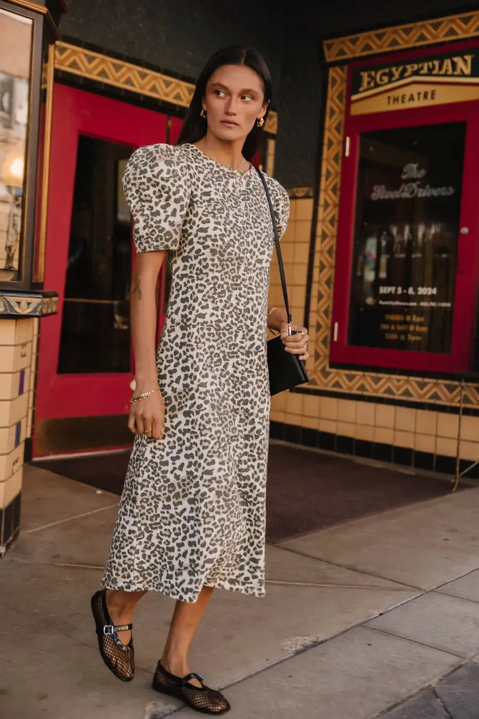 Campbell Denim Dress in Leopard - FINAL SALE sold by bohme product image thumbnail 4