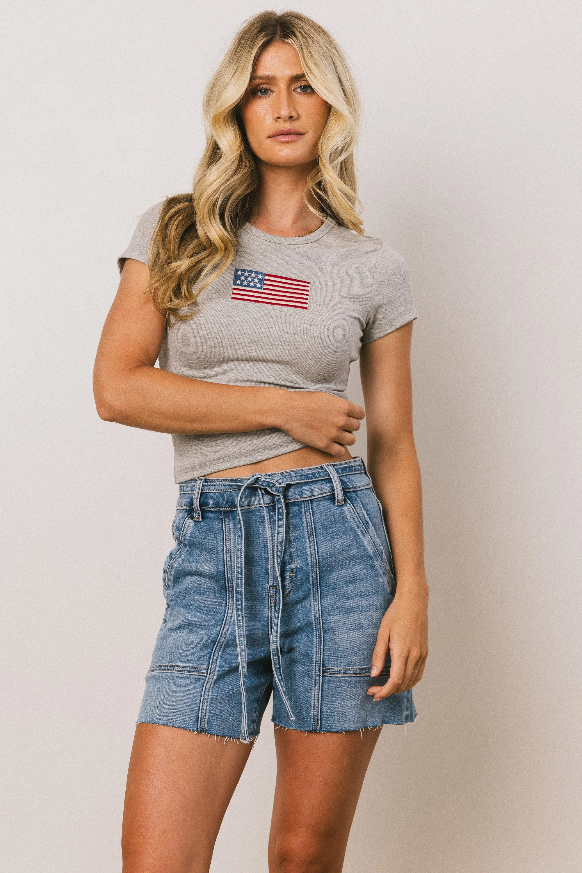 American Flag Tee in Grey - FINAL SALE sold by bohme product image thumbnail 5