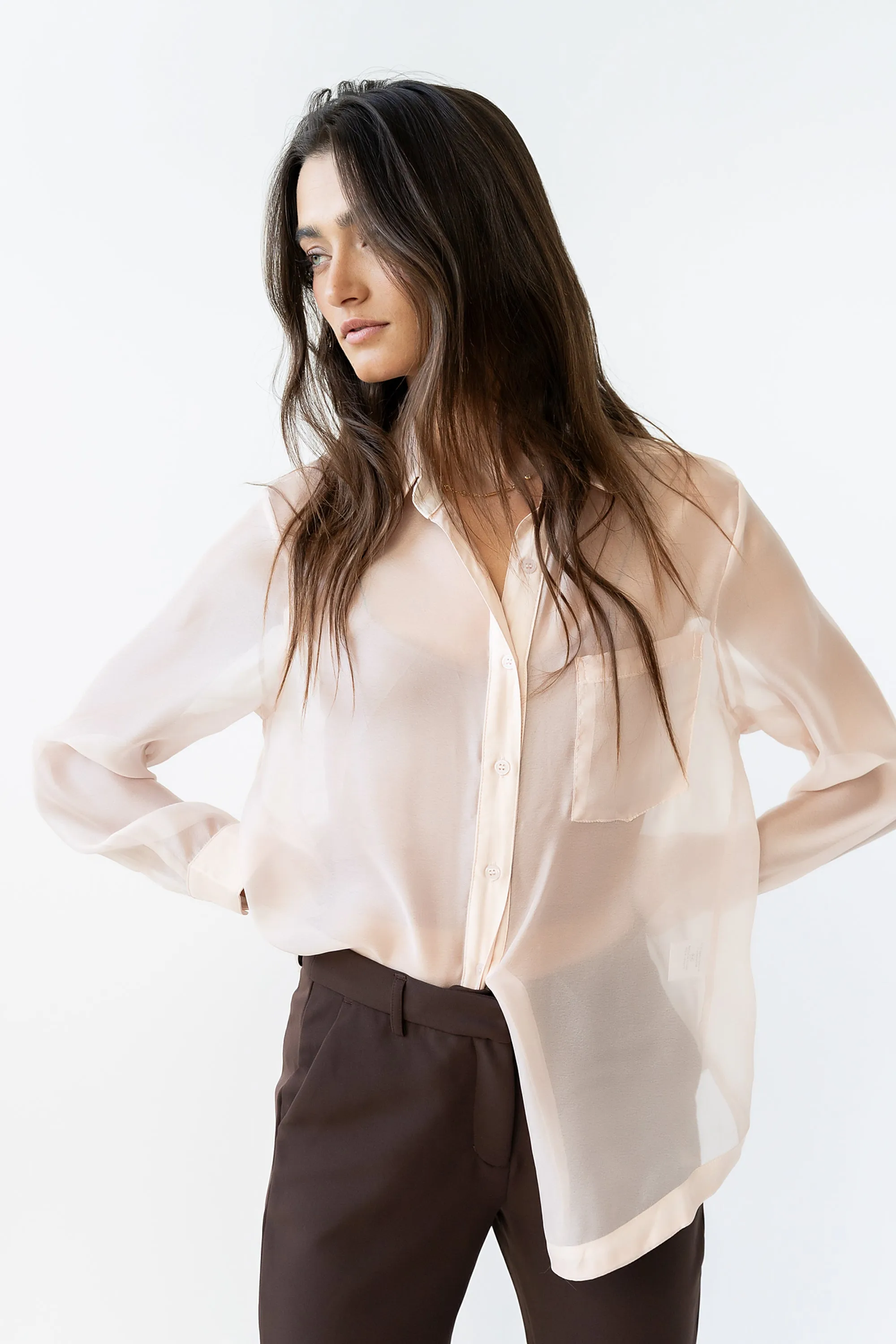 Liberty Sheer Button Up Blouse in Blush - FINAL SALE sold by bohme product image thumbnail 4