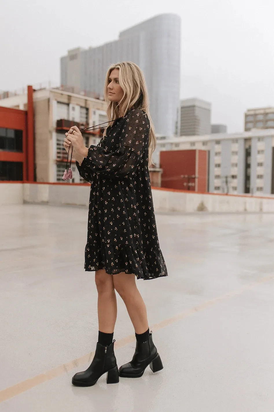 Milan Embroidered Mini Dress - FINAL SALE sold by bohme product image thumbnail 5