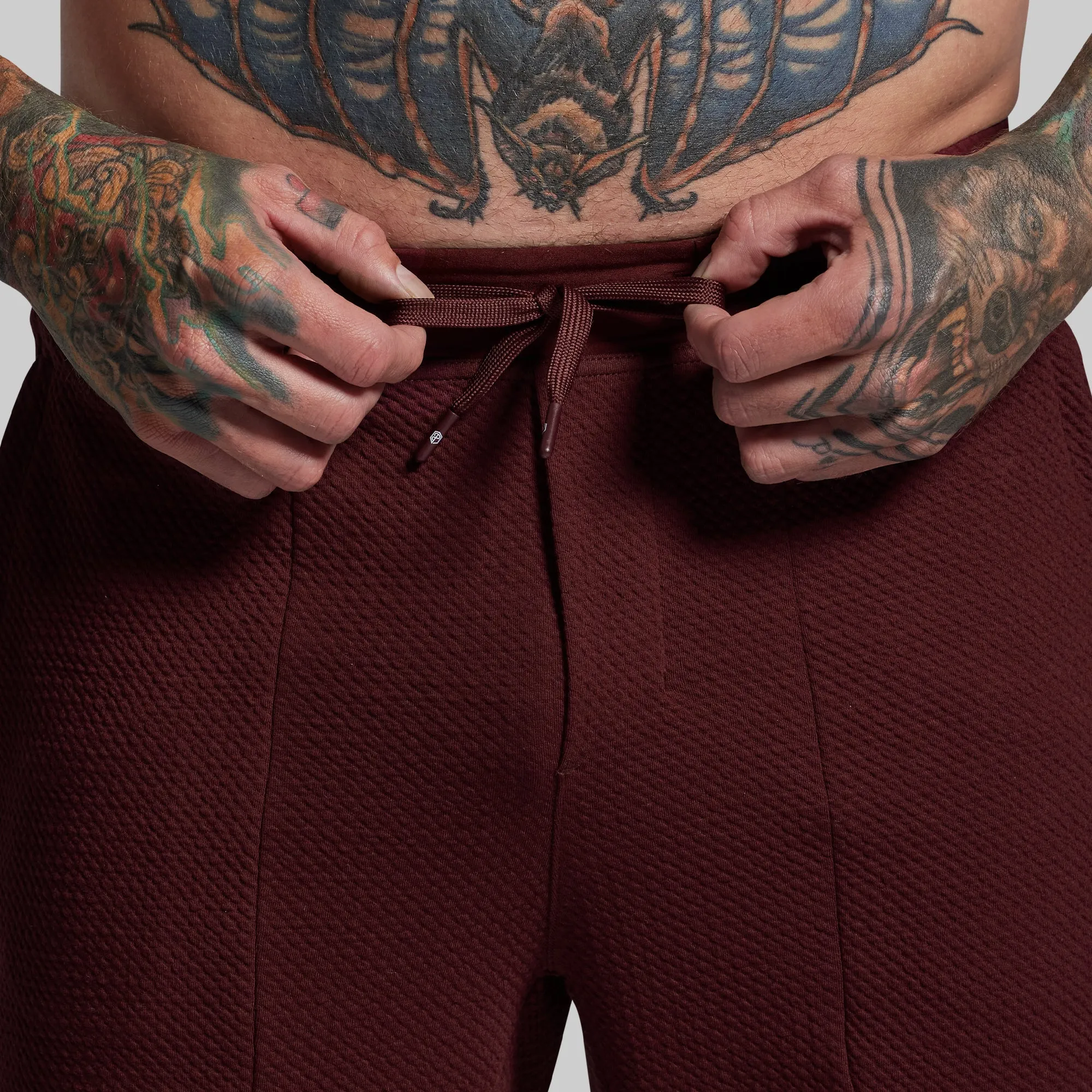 Men's Cloud Jogger (Fig) sold by Born Primitive product image thumbnail 3