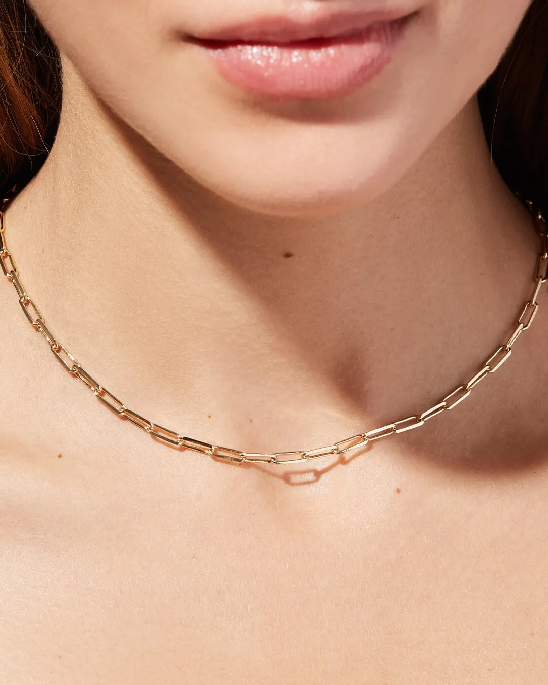 Link Chain Necklace - Laura Bold sold by Boston Proper product image thumbnail 2