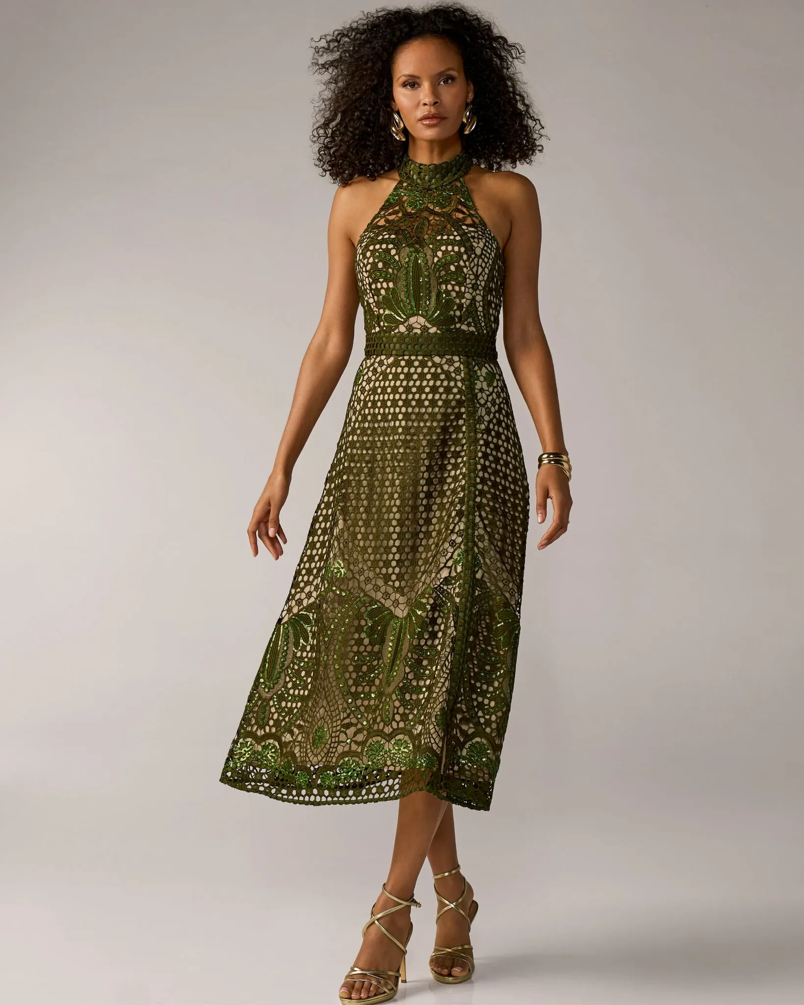 Tonal Sequin Embellished Lace Dress Olive sold by Boston Proper