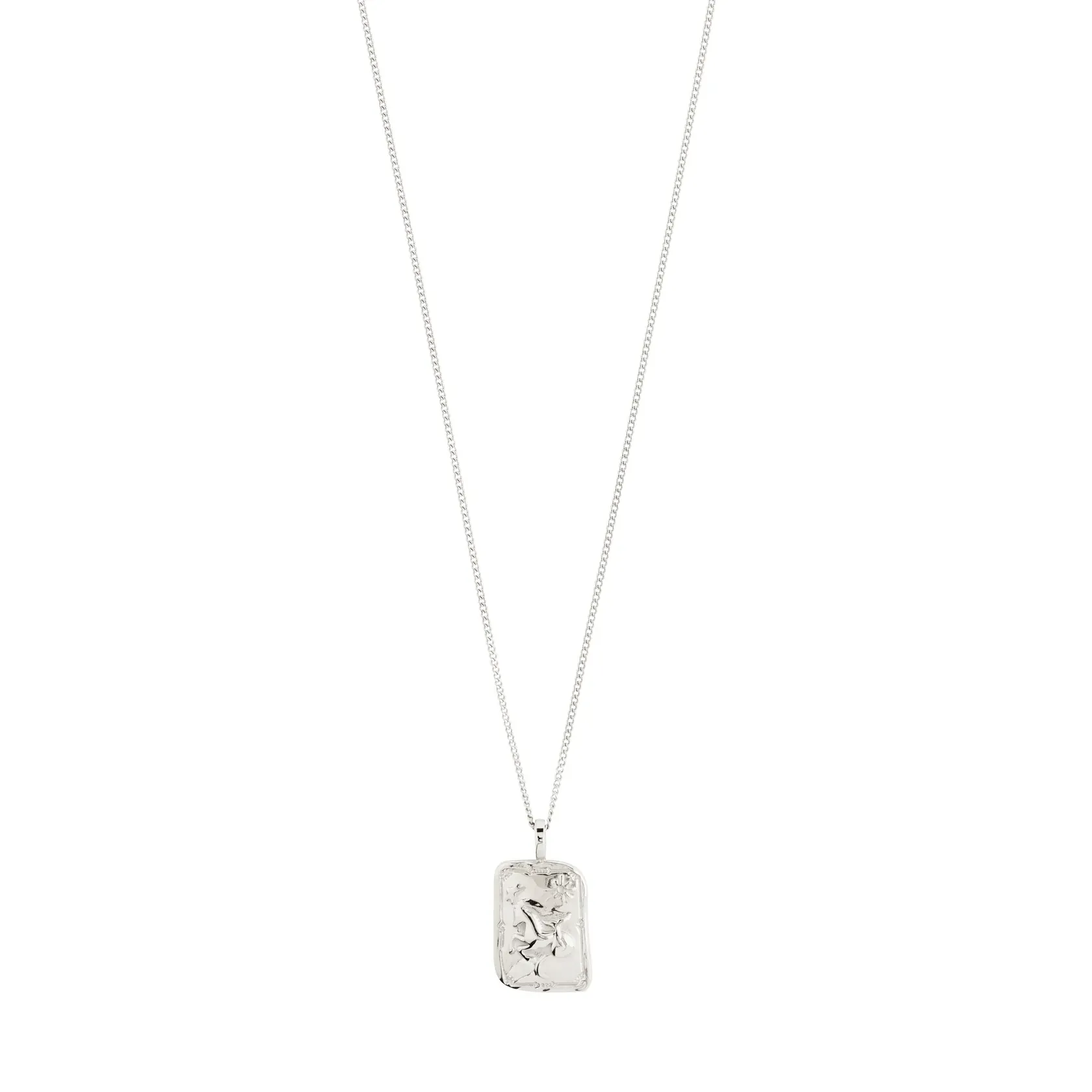 Pilgrim Capricorn Recycled Zodiac Necklace - Silver sold by Boutique with Grace product image thumbnail 3
