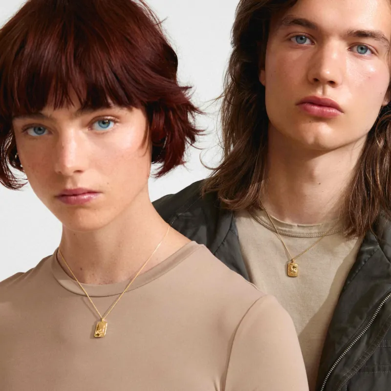 Pilgrim Capricorn Recycled Zodiac Necklace - Gold sold by Boutique with Grace