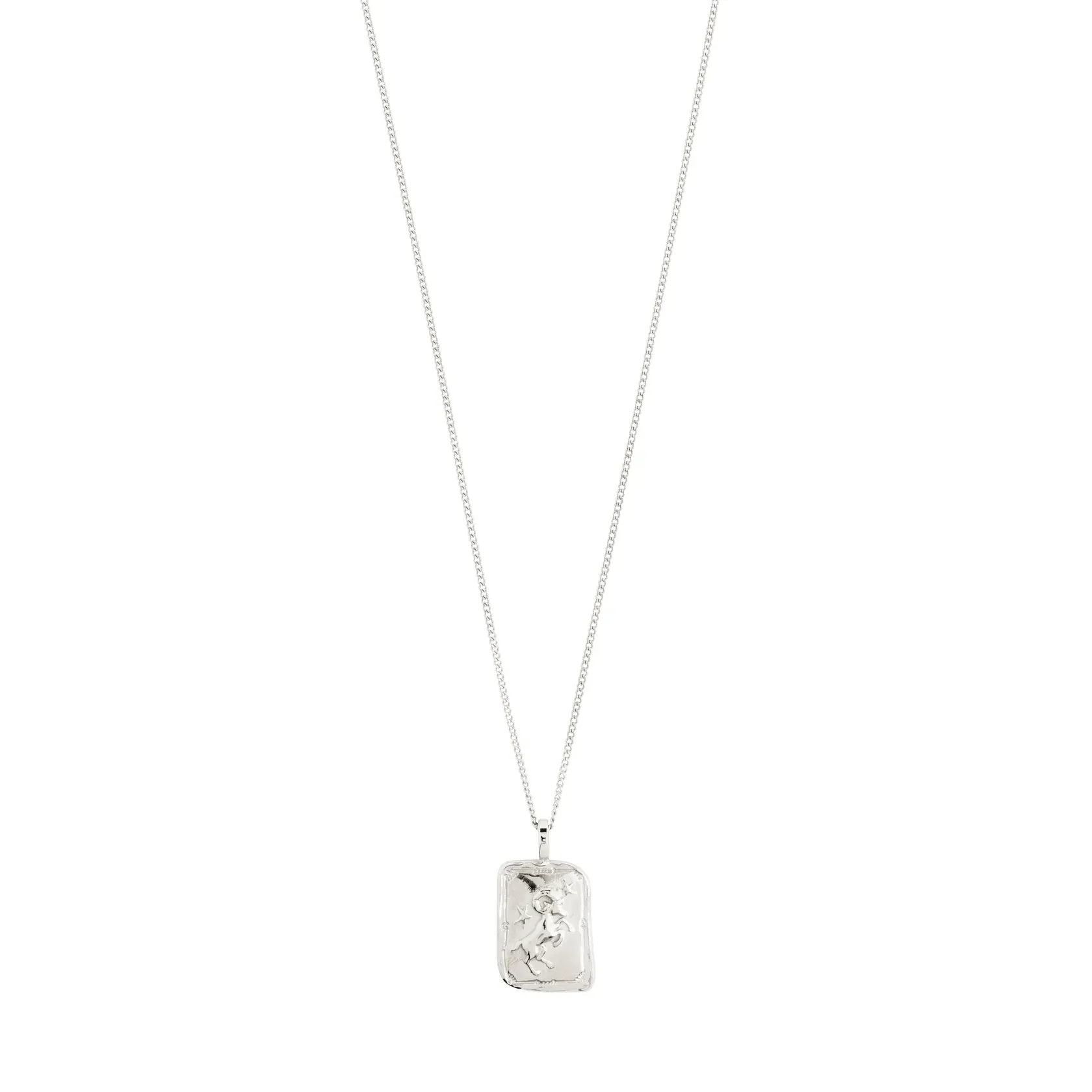 Pilgrim Aries Recycled Zodiac Necklace - Silver sold by Boutique with Grace product image thumbnail 3