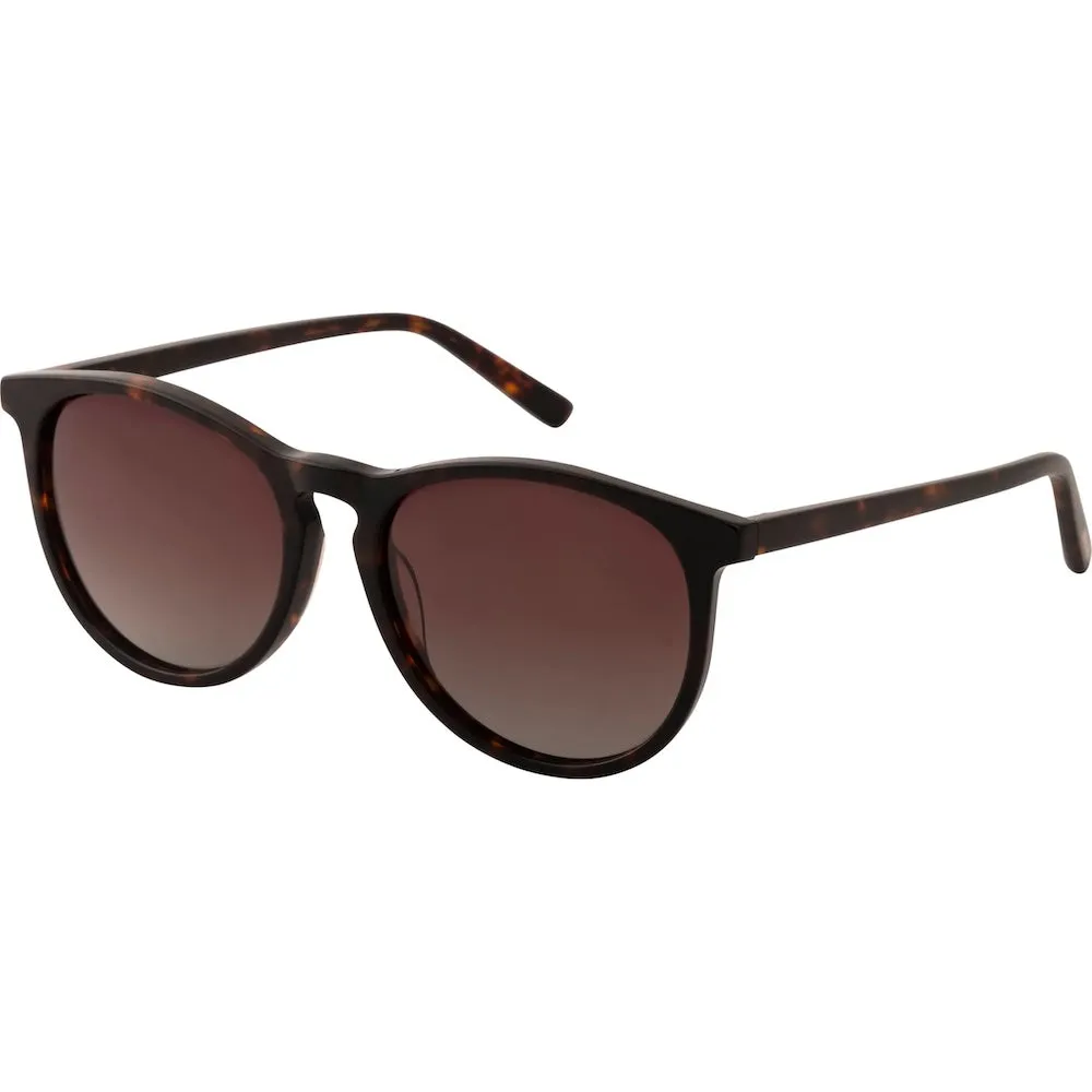 Pilgrim Sahara Sunglasses - Tortoise Brown sold by Boutique with Grace
