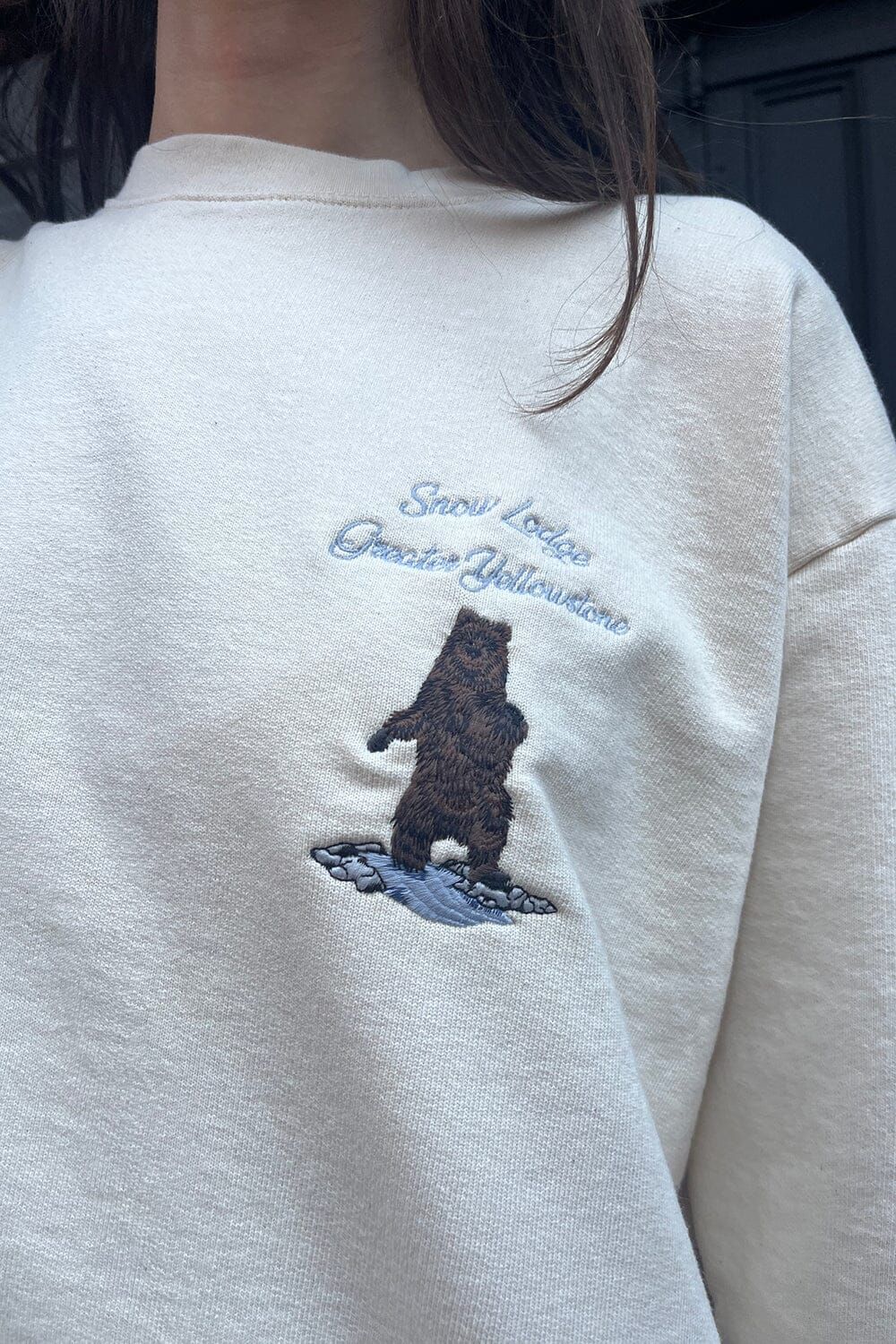 Erica Snow Lodge Greater Yellowstone Sweatshirt sold by Brandy Melville product image thumbnail 3