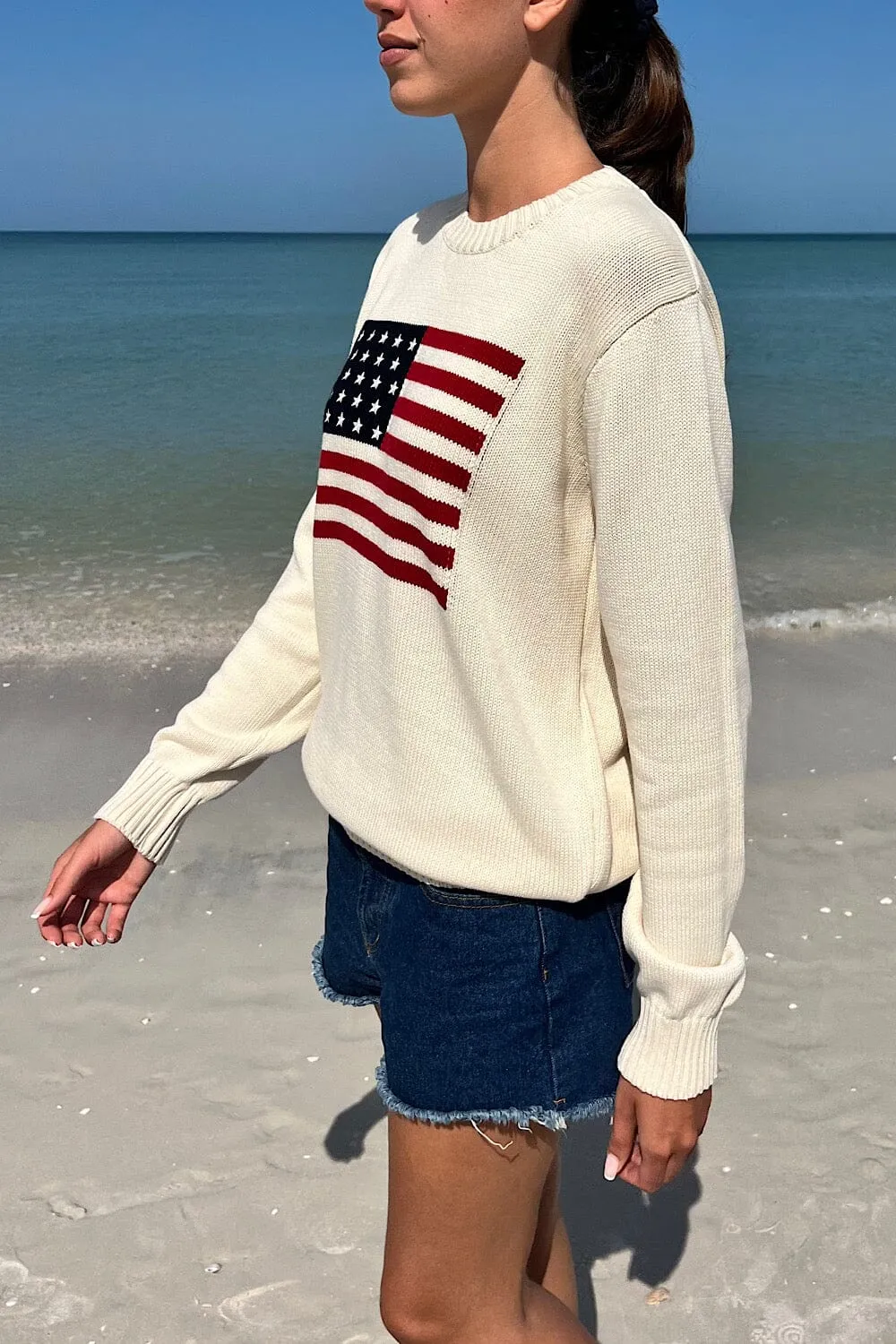 Nico American Flag Sweater sold by Brandy Melville product image thumbnail 3