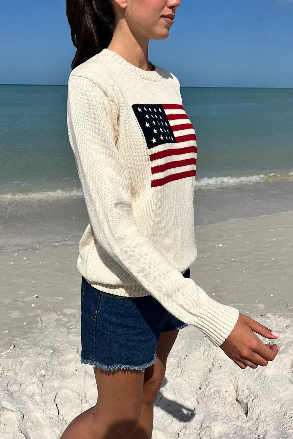 Nico American Flag Sweater sold by Brandy Melville product image thumbnail 2
