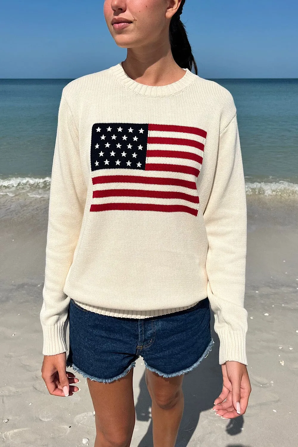 Nico American Flag Sweater sold by Brandy Melville