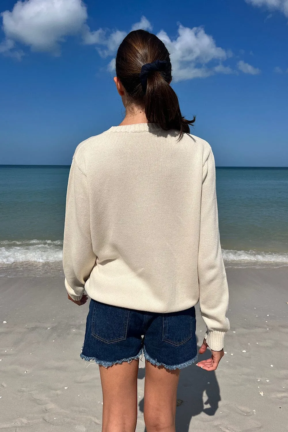 Nico American Flag Sweater sold by Brandy Melville product image thumbnail 5