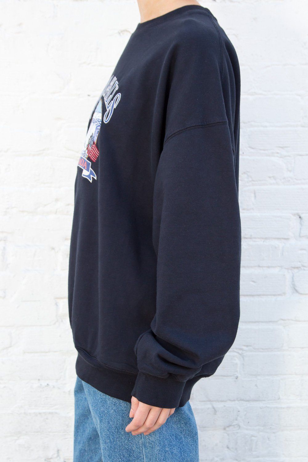 Erica Niagara Falls Sweatshirt sold by Brandy Melville product image thumbnail 3