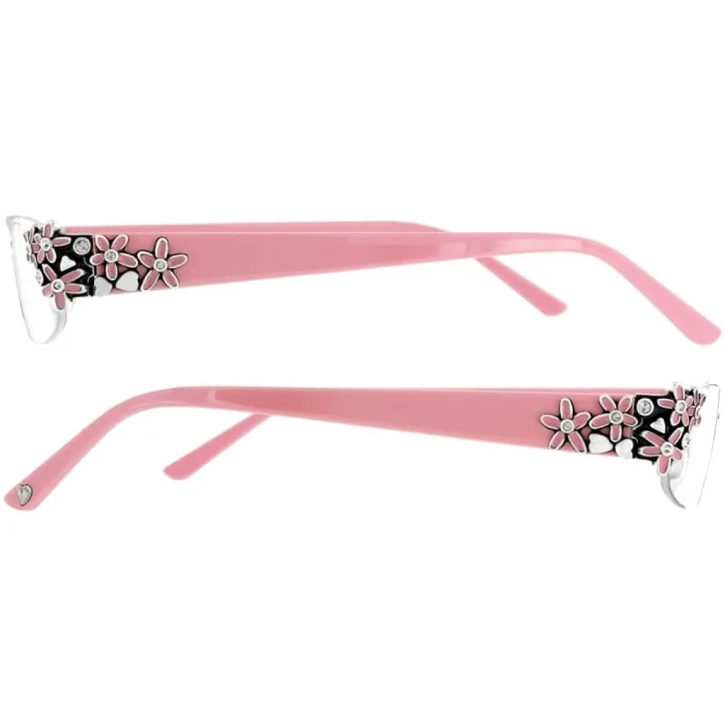 Love Daisy Readers sold by Brighton