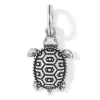 Pismo Turtle Charm sold by Brighton