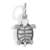 Pismo Turtle Charm sold by Brighton
