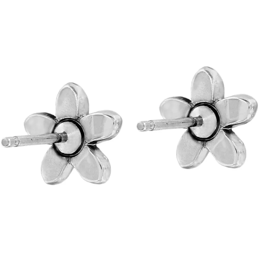 Baroness Fiori Mini Post Earrings sold by Brighton product image thumbnail 2