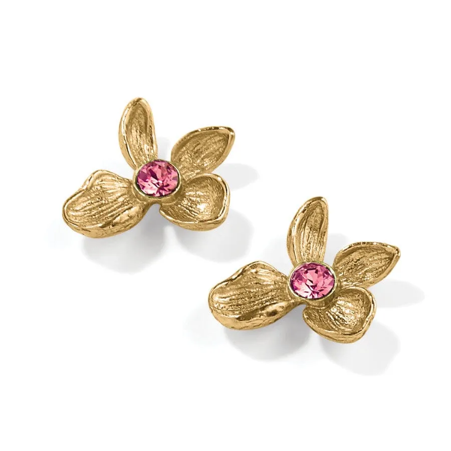 Everbloom Jardin Golden Post Earrings sold by Brighton product image thumbnail 2