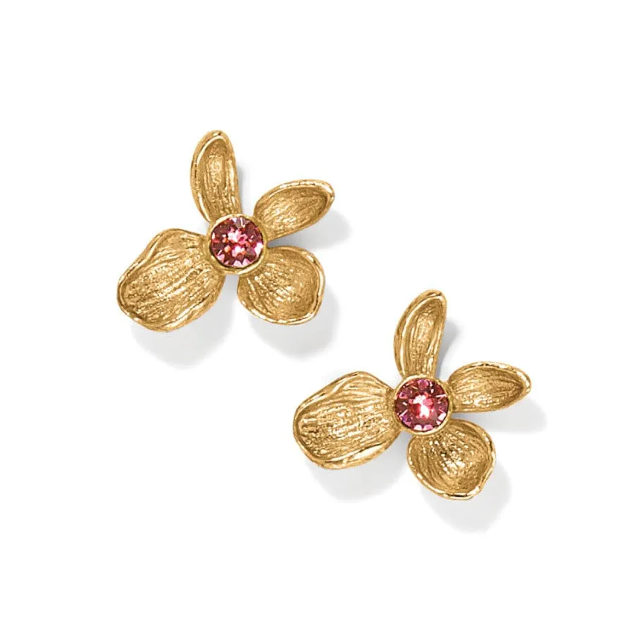 Everbloom Jardin Golden Post Earrings sold by Brighton