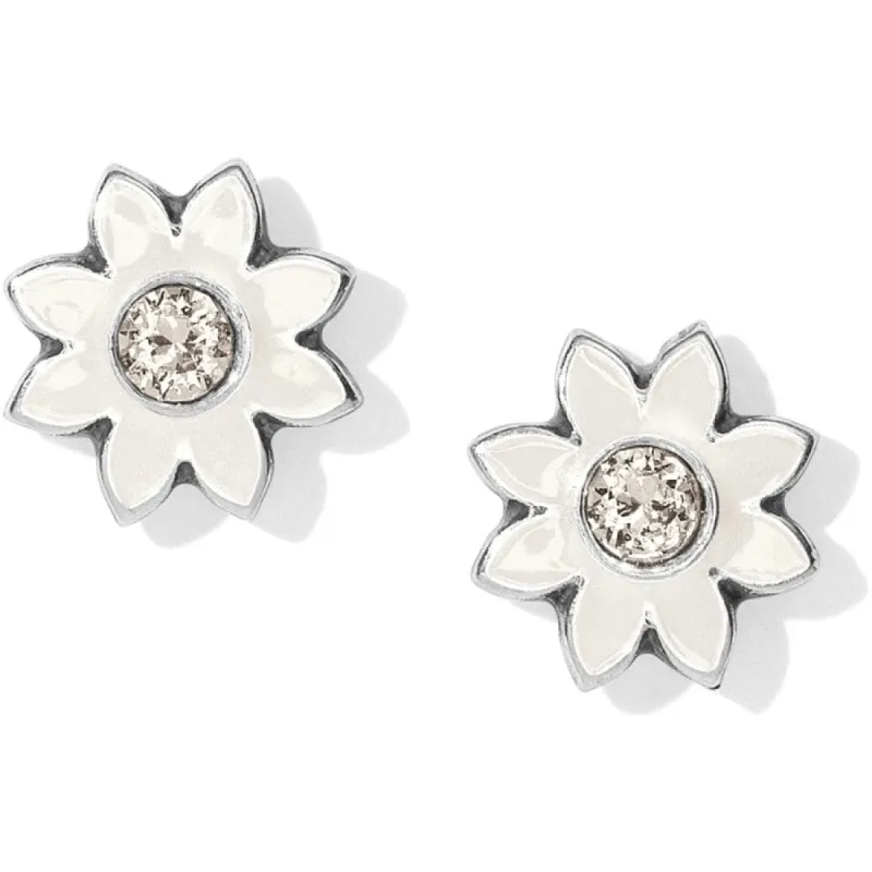 Jasmine Mini Post Earrings sold by Brighton