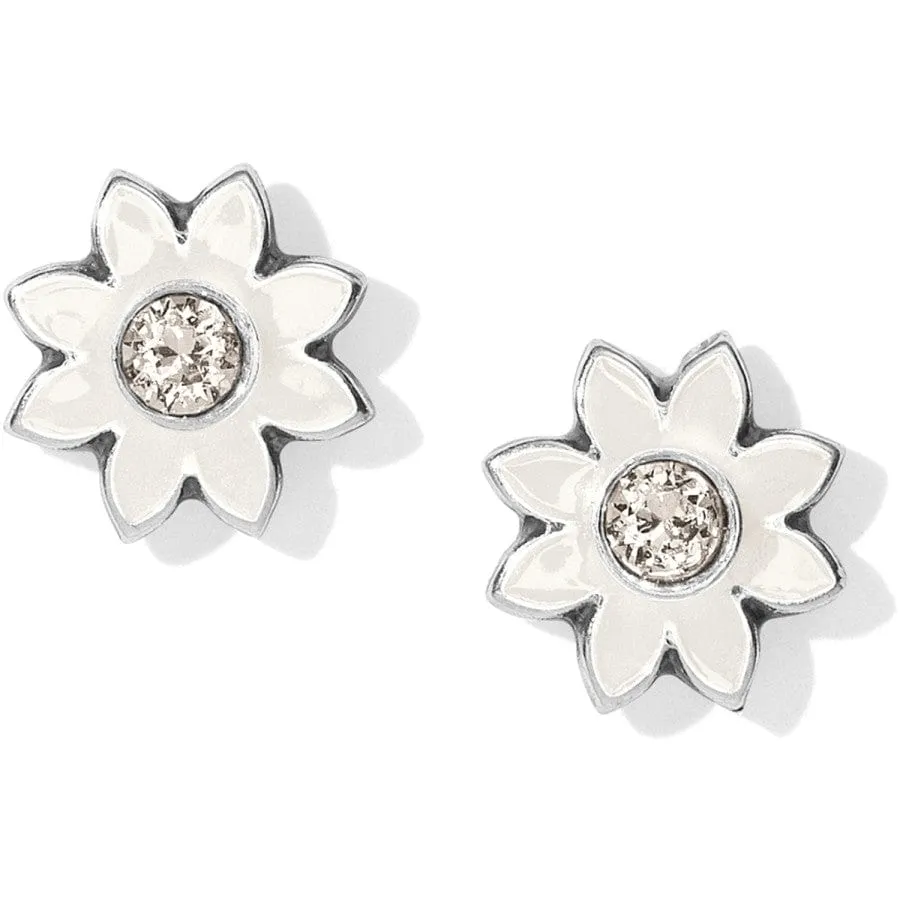 Jasmine Mini Post Earrings sold by Brighton