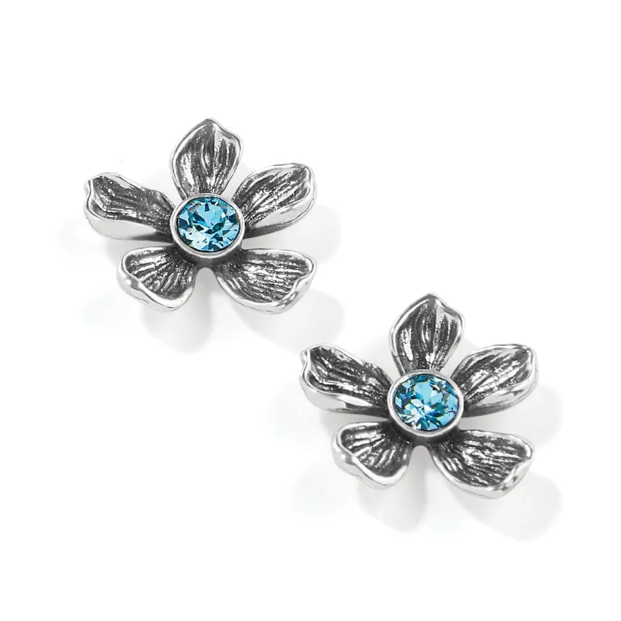 Everbloom Jardin Post Earrings sold by Brighton product image thumbnail 2
