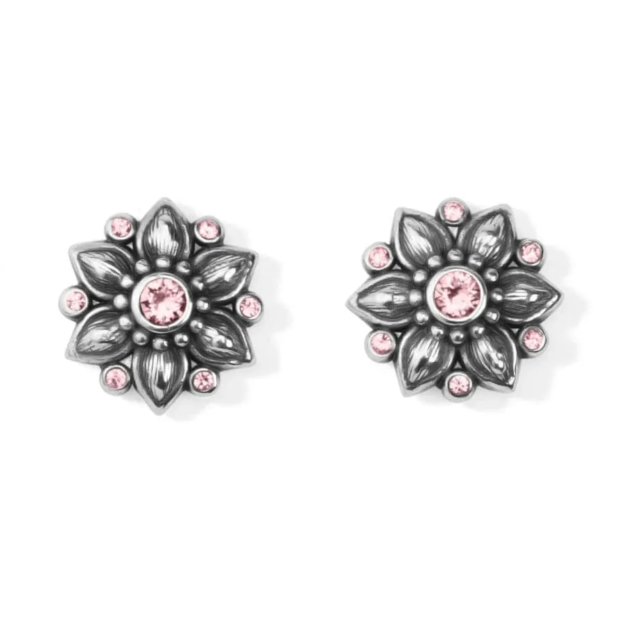 Cora Mini Post Earrings sold by Brighton product image thumbnail 4