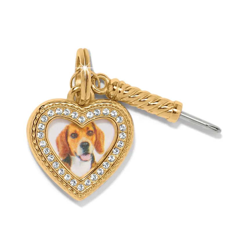 Memento Heart Golden Photo Charm sold by Brighton
