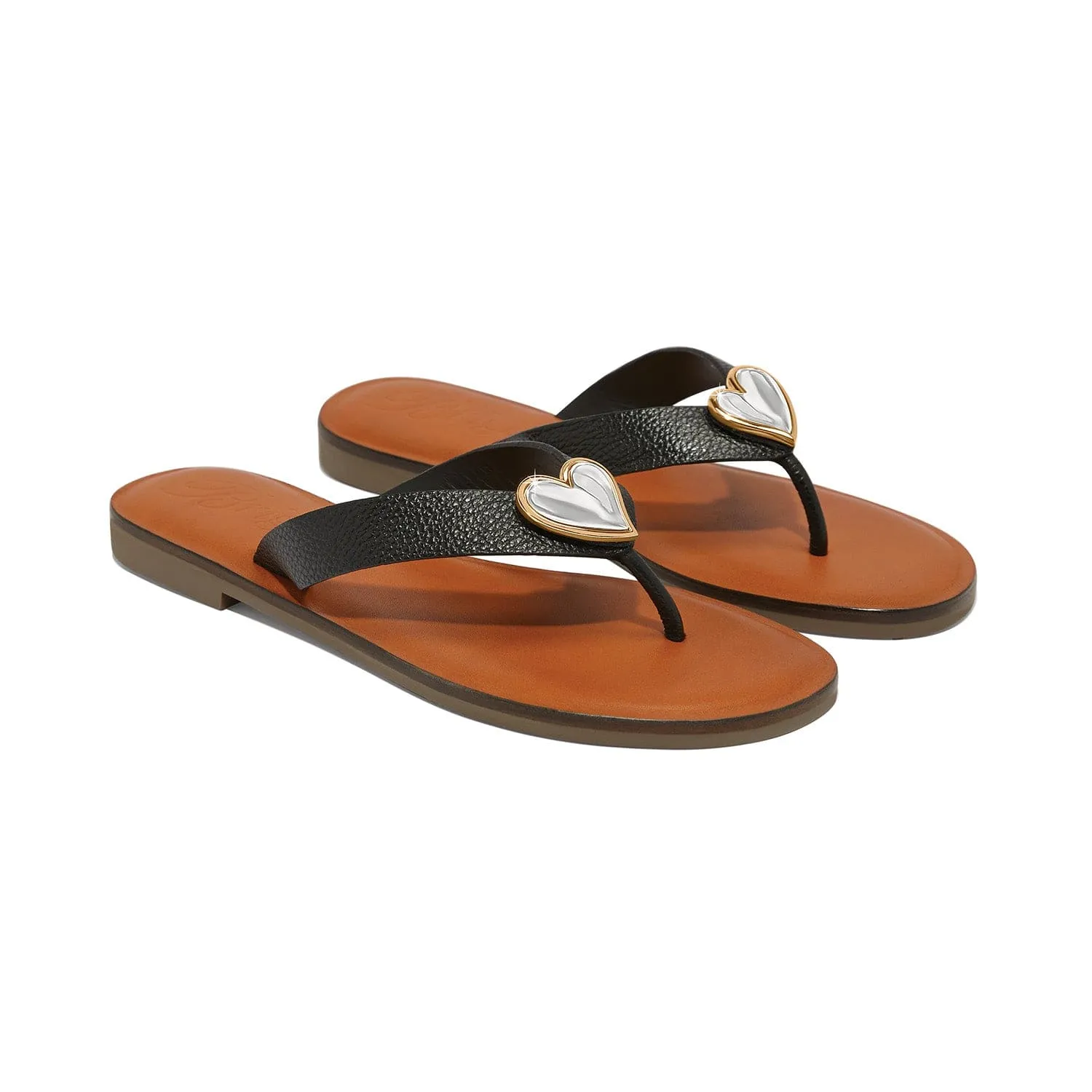 Amigo Flat Thongs sold by Brighton