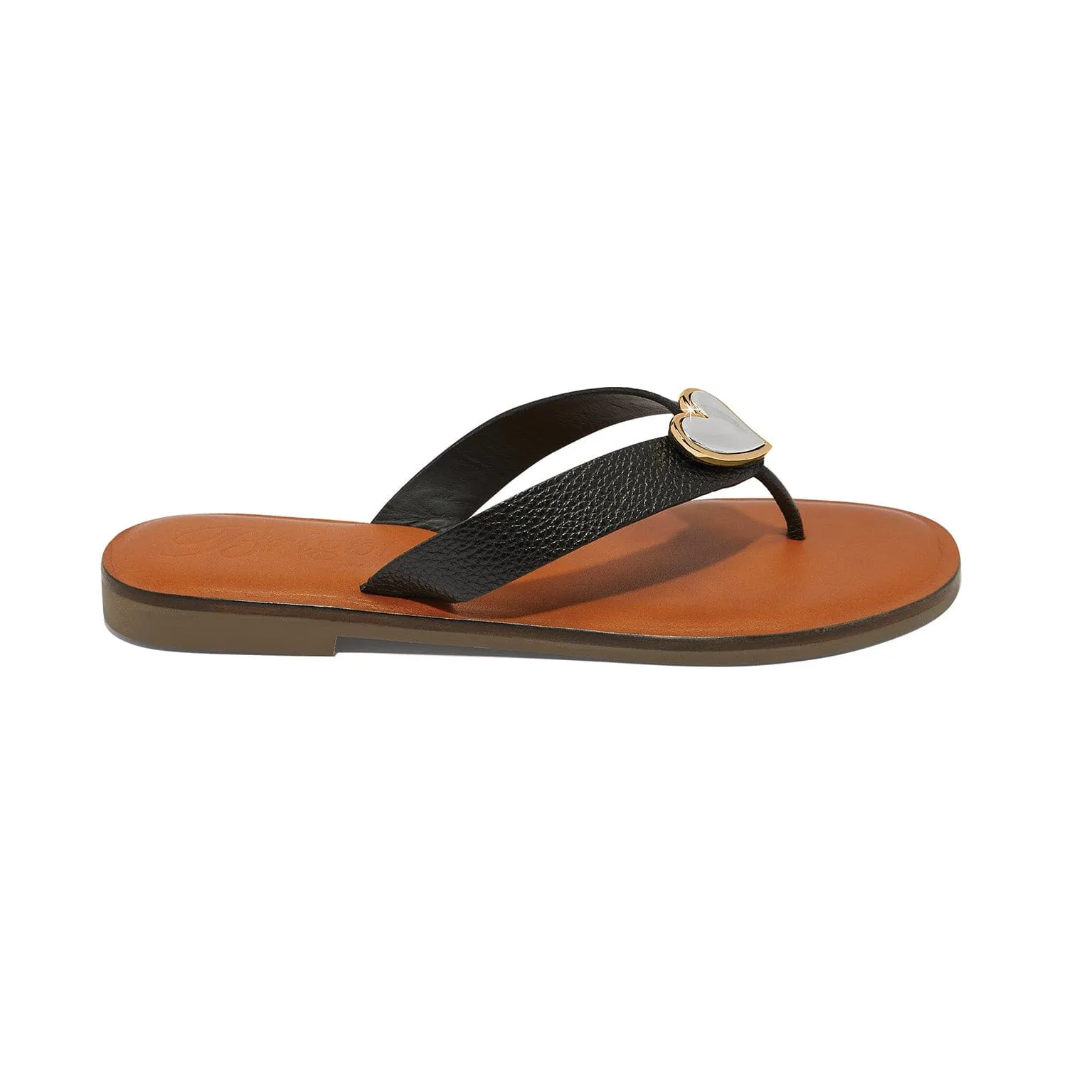 Amigo Flat Thongs sold by Brighton product image thumbnail 3