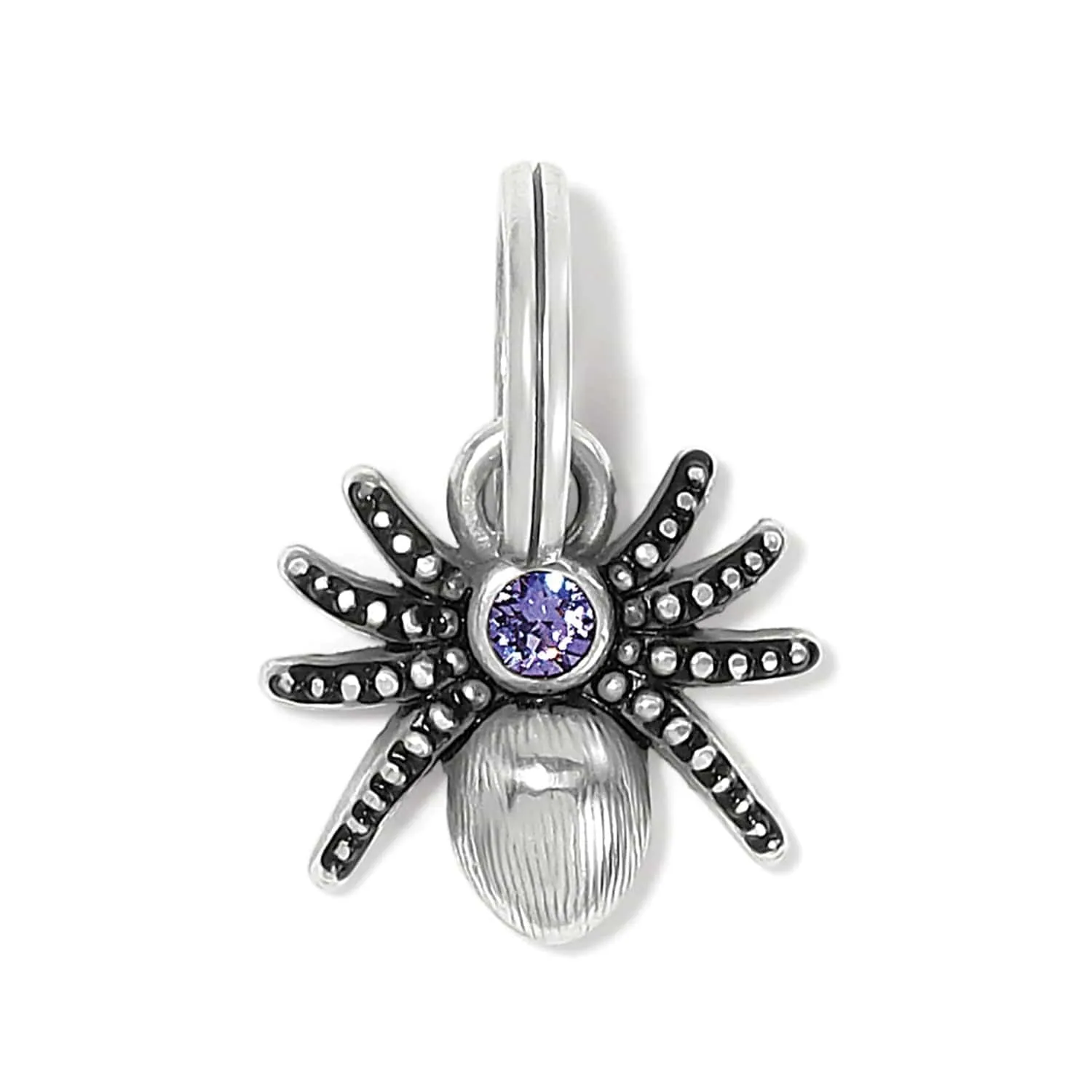 Spooky Spider Charm Card sold by Brighton product image thumbnail 3