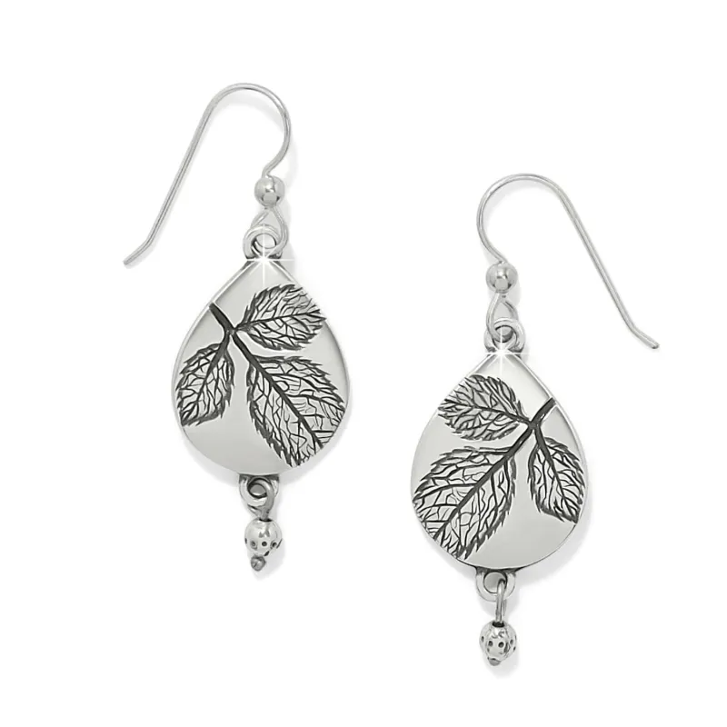 Natura Teardrop French Wire Earrings sold by Brighton