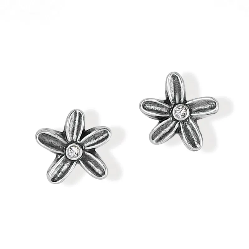 Wild Flowers Post Earrings sold by Brighton