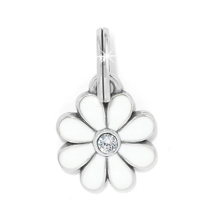 Daisy Charm sold by Brighton