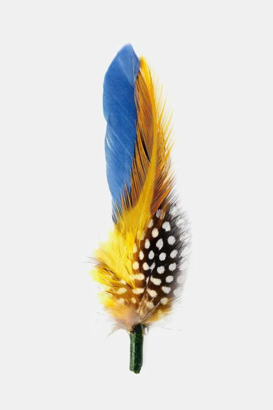 Brixton Hat Feather - Joe Blue/Black/Yellow sold by Brixton