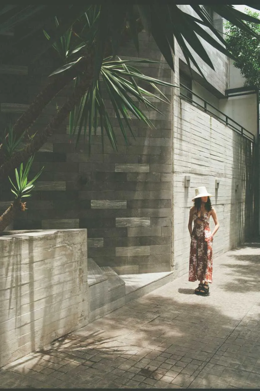 Riviera Dress - Sepia sold by Brixton product image thumbnail 3