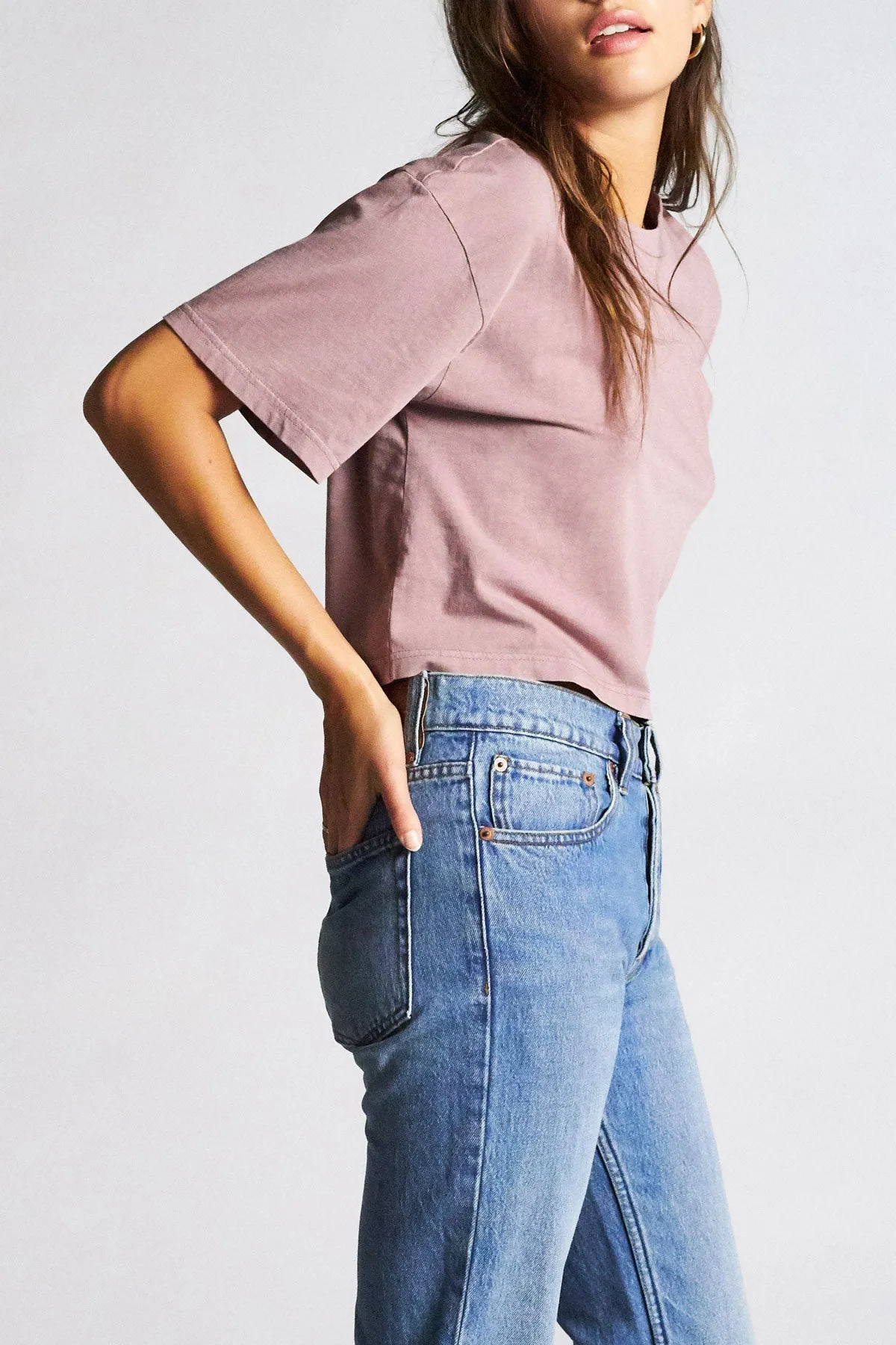 Amanda S/S Crop Tee - Mauve sold by Brixton product image thumbnail 4