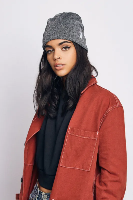 Birch Metallic Beanie - Silver sold by Brixton