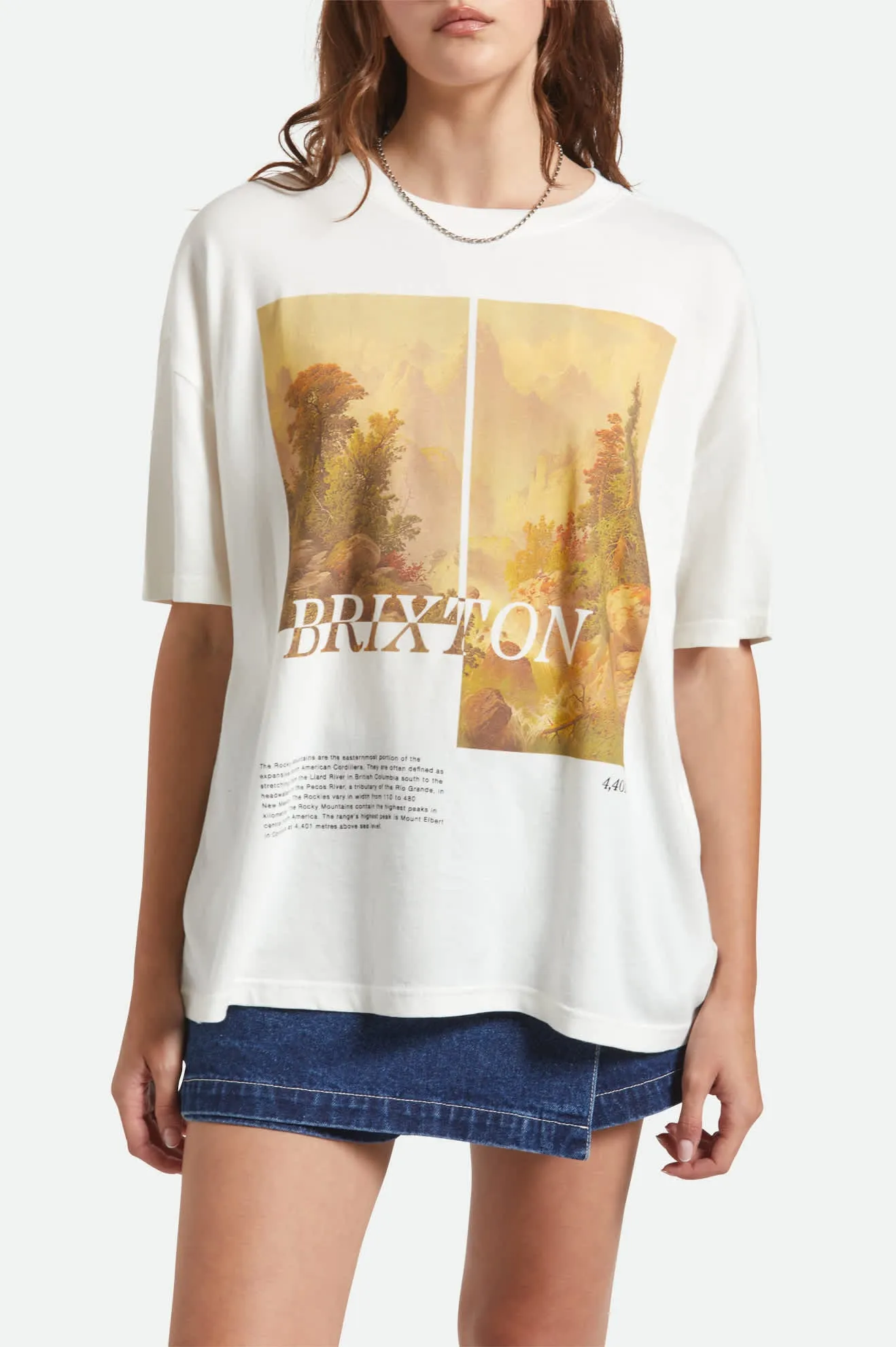 Rocky Mountain Oversized Boyfriend T-Shirt - Off White sold by Brixton product image thumbnail 5