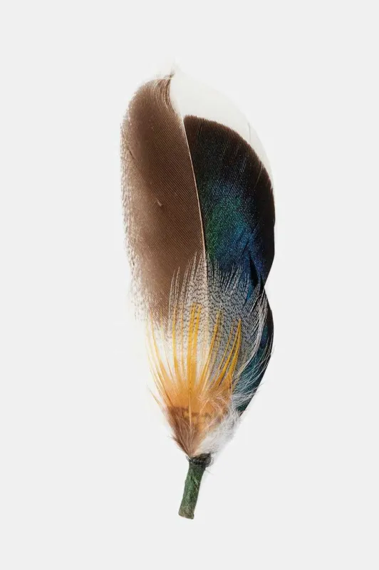 Brixton Hat Feather - Moonlit Ocean/Bison/Mojave made by Brixton