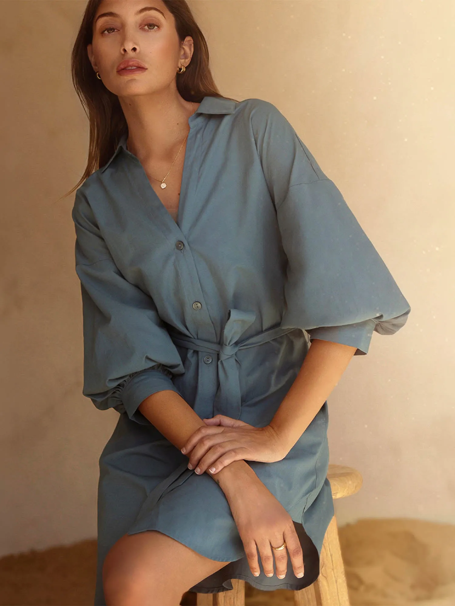 The Kate Belted Dress sold by Brochu Walker product image thumbnail 2