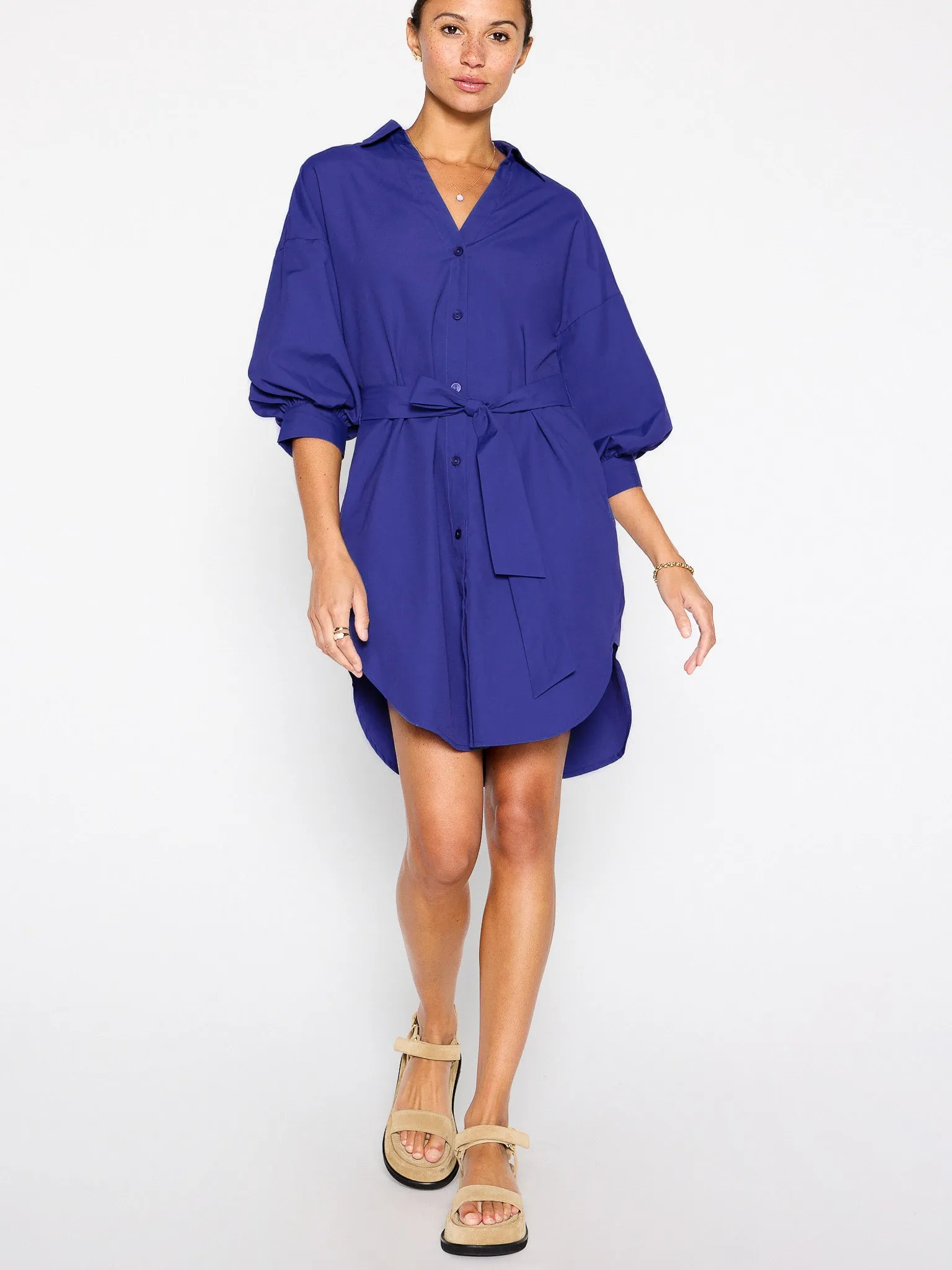 The Kate Belted Dress sold by Brochu Walker product image thumbnail 4