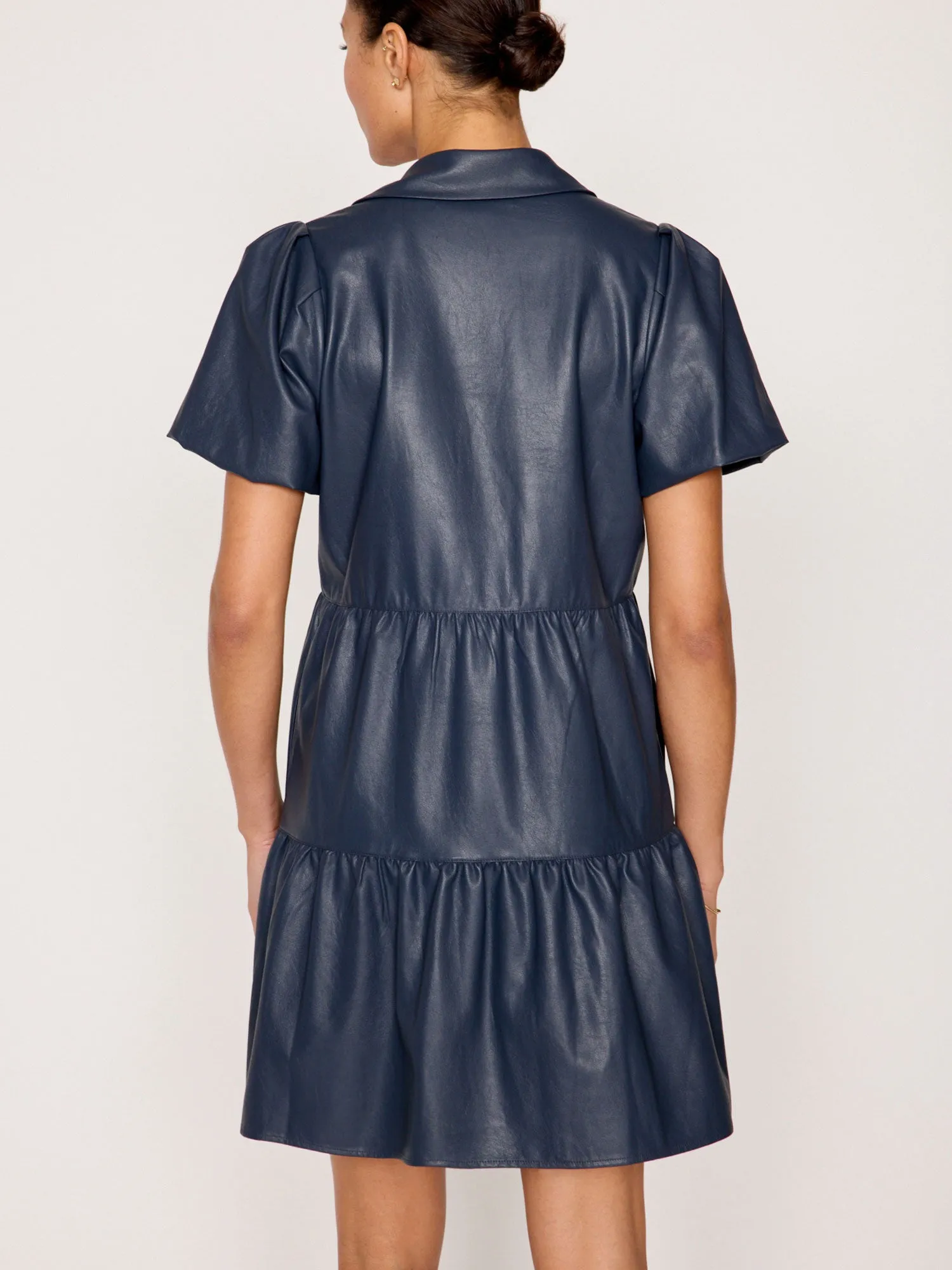 The Havana Vegan Leather Mini Dress sold by Brochu Walker product image thumbnail 5