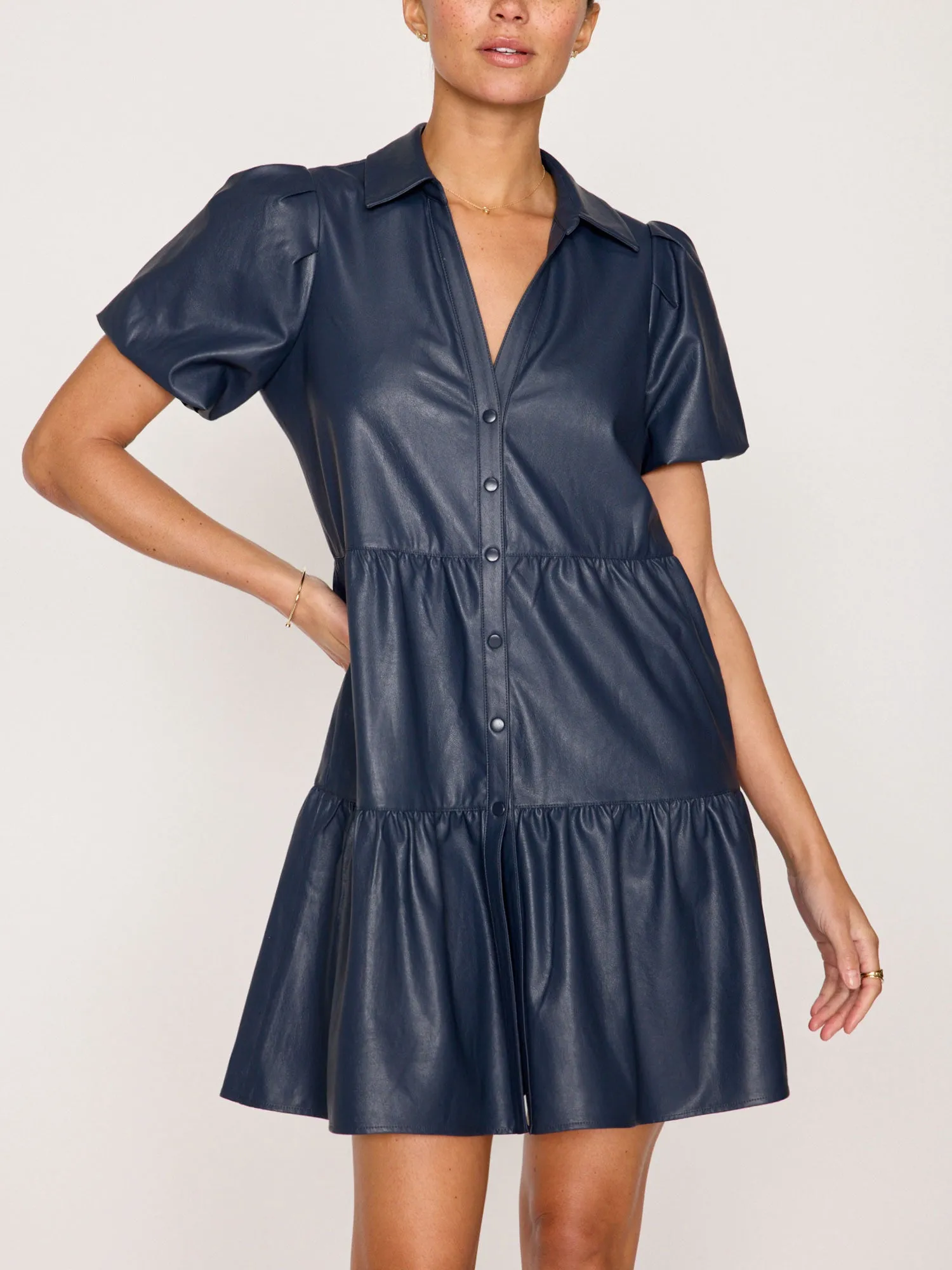The Havana Vegan Leather Mini Dress sold by Brochu Walker product image thumbnail 3